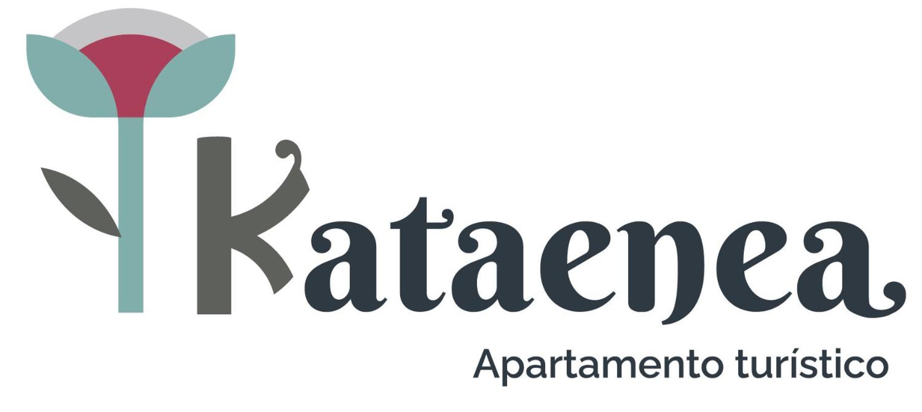 Kataenea. Apartamento En El Prepirineo Navarro. Naturaleza Aoiz Buitenkant foto
